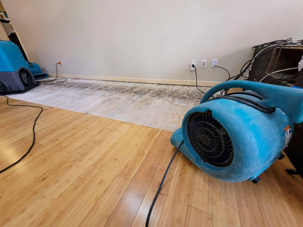 Professional Structural Drying technician working in Carrboro, NC